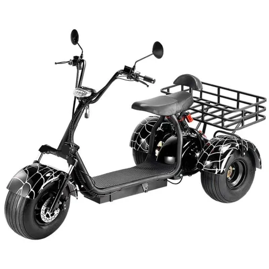 Special Vehicles for Farms and Gardens Electric Motor Bike Electric Tricycle Cargo with Double Seats for Adult